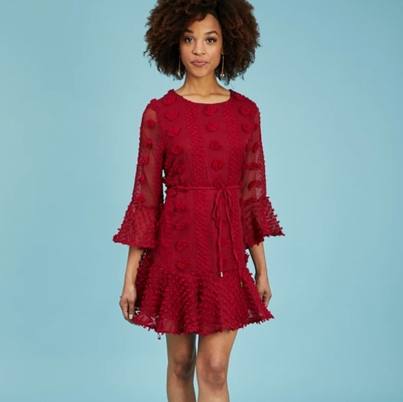 Red Burgundy pompom dress - Picture 7 of 7